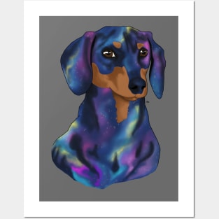 Dachshund Posters and Art